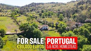 5.6 Acre Homestead FOR SALE Celorico da Beira, Guarda (Central Portugal - Real Estate)