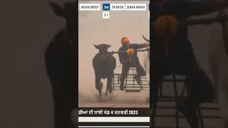 Chota Arjan &maharJa best race#oxraces #viral #trending #sidhumoosewala #justiceforsidhumoosewala