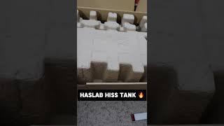 Haslab Hiss Tank Unboxing