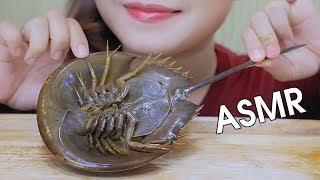 ASMR EATING HORSESHOE CRAB (EXOTIC FOOD), SOFT CRUNCHY EATING SOUNDS 먹방 | LINH-ASMR