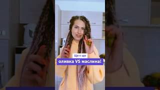 Оливка чи маслина: у чому насправді різниця?