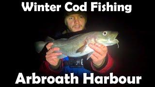 Winter Cod Fishing at Arbroath Harbour