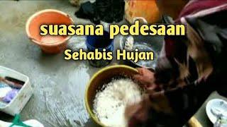 SUASANA DI PEDESAAN SEHABIS HUJAN PENUH KESAN @Cara2-budi