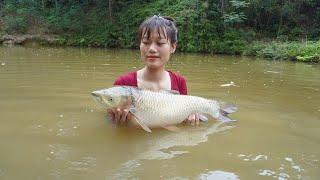 Girl harvests fish and sells it in the village - Catch fish, Unbelievable cast net fishing
