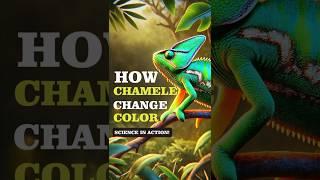 How Chameleons Change Color: Science in Action! #interestingfacts #sciencefacts