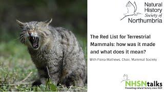 The Red List for Terrestrial Mammals: how was it made and what does it mean?