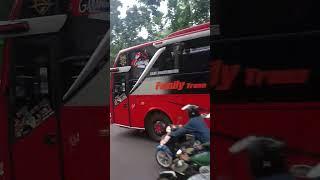 Pesona Family Trans #viral #basuri #busmania #bis #automobile #buspariwisata #bismania