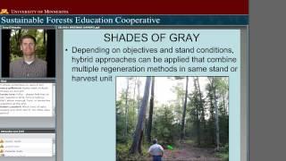 Silviculture 101 Systems and Terminology