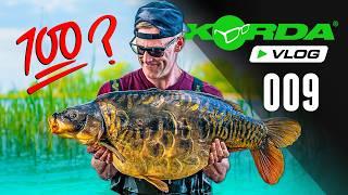 Darrell Peck chases his 100th UK 40lb CARP! | Korda Vlog #009