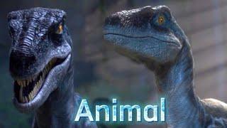 Jurassic World: Camp Certaceous | Blue tribute | Animal