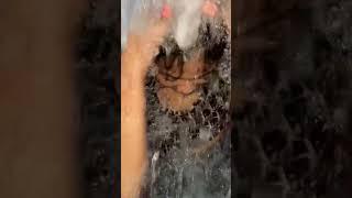 ice water prank kay kambal #alvinnogpo #fyp #icewaterprank