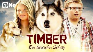 Timber - Ein tierischer Schatz (FAMILIENABENTEUER in voller Länge, Abenteuer Filme Deutsch komplett)