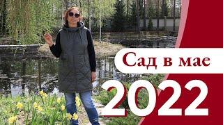 Что посадить, чтобы весной было ОЧЕНЬ КРАСИВО? Сад в мае 2022!