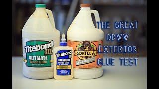 Glue Test - Which is BEST for EXTERIOR Use? // Woodworking // DIY