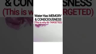 WATER HAS MEMORY & CONSCIOUSNESS