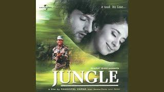 The Soul Of Jungle (Jungle / Soundtrack Version)