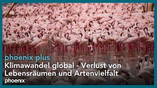 Verlust von Artenvielfalt | #Klimawandel global