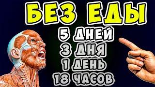 5 Дней БЕЗ ЕДЫ! Вот что ТВОРИТСЯ с Телом уже через 18 часов...