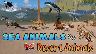 75 Sea Animals VS 75 Desert Animals Race in Planet Zoo included Shark, Whale, Dolphin, Lion & Camel