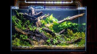 Building The NEW NANO FISH Aquascape (Low Tech)