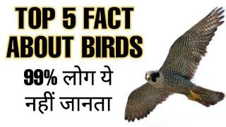 Top 5 fact about birds#shorts#youtube shorts#vkb fact