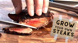 GROW YOUR OWN STEAK?! Lions Mane Mushroom Recipe | Wicked Kitchen