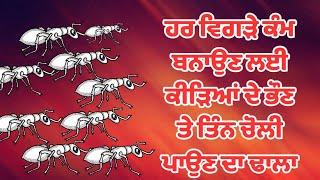 ਹਰ ਵਿਗੜੇ ਕੰਮ ਬਣਾਉਣ ਲਈ ਕੀੜਿਆਂ ਭੌਣ ਤੇ ਤਿੰਨ ਚੋਲੀ ਪਾਉਣ ਦਾ ਢਾਲਾ