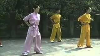 wushu basic training (English)