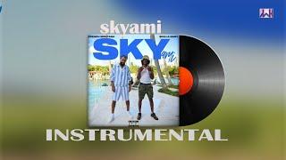 French Montana  Skilla Baby  Skyami Instrumental