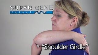 SuperGene: Shoulder Girdle