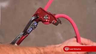 Lifeguard Belay Device