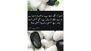 Islamic Quotes | Islamic Quotes Images | Wazifa For Husband Love | Islami Books Lovers #shorts