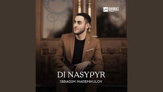 Di nasypyr