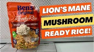 How to Grow Lion's Mane Mushroom Using Ready Rice