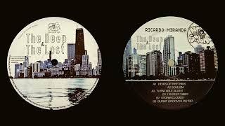 Ricardo Miranda - 118 Deep Vibes