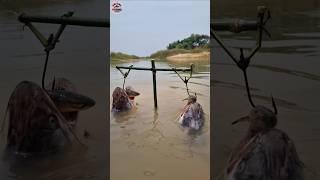 Unbelievable Fishing Trap Video | Challenge  Fishing Video | #challenge #shorts #fish #hook_fishing