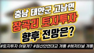 충남 태안군 고남면 장곡리 토지 전망은?/ 어려운 토지투자 어떻게 해요? / 원산안면대교 개통 / 해저터널 개통｜부동산 상담｜정연훈｜전투남