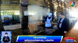 กล้าลองกล้าลุย : ลุยโรงงานผลิตแคบหมู จ.เชียงใหม่ ตอน 2