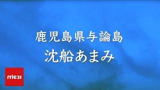 【ツアー】鹿児島県 与論島 海中 沈船 あまみ  ボート ダイビング mic21