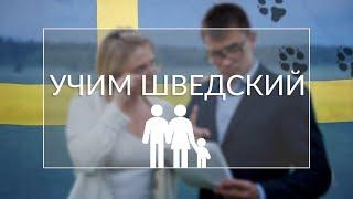 Язык изучение шведского: учим языки с нуля: Изучаем семью и животных