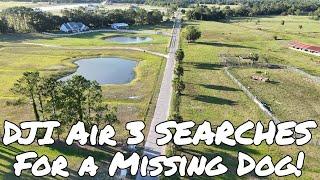 DJI Air 3 SEARCHES For a Missing Dog!