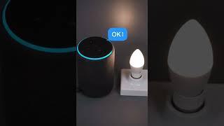 MOES WiFi Smart Light Bulb E14,Voice control by Alexa Google Home