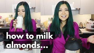 How to Make Dairy-Free Milks at HOME! (4 Different Plant-Based Milk Options)