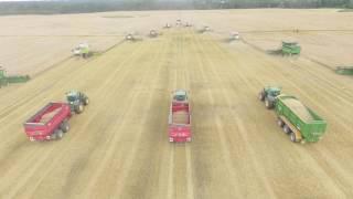 Harvesting of grain by RBPI Group 1