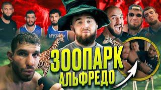 Лицемерный праведник Хамзат Чимаев|Обзор БАЛАГАНА Hype Reality 3