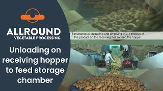 Unloading on receiving hopper to feed storage chamber | Allround Vegetable Processing