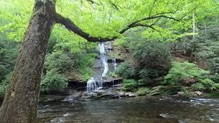 Smoky Mountains/ Deep Creek, Tom Branch Falls, and Indian Creek Falls