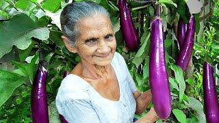 Discover the Mouthwatering Flavors of Brinjal Curry with Dried Fish | Grandma Menu