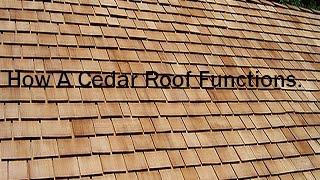 What's eating your Roof? Cedar Shakes Roof Cleaning 🪵 Wood Roof Cleaning Process