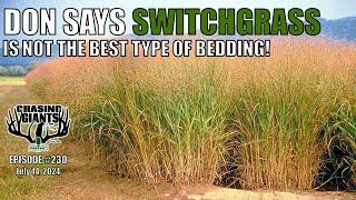 Episode 230 - Don says Switchgrass is not the best bedding.